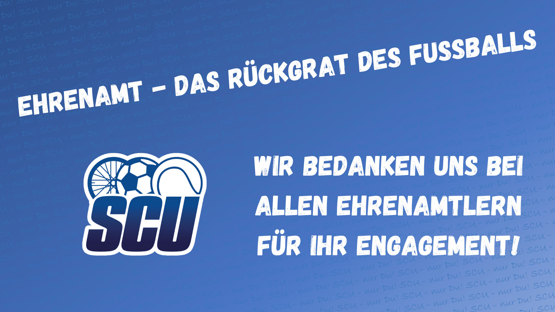 Übergabe FVM Ehrenamtspreis